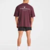 Apex Lifting Essential oversized T-shirt