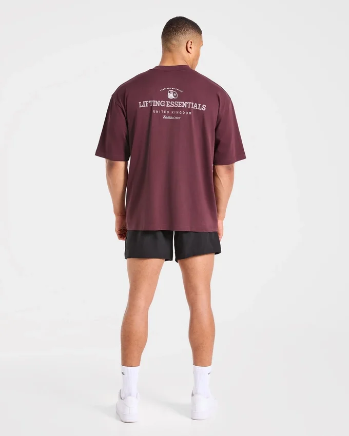 Apex Lifting Essential oversized T-shirt