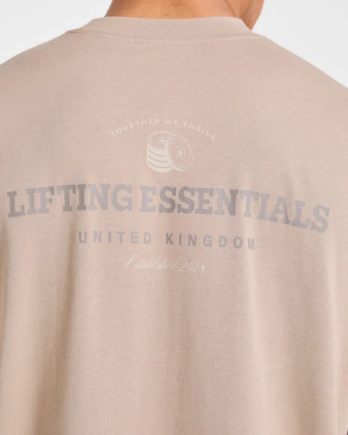 Apex Lifting Essential oversized T-shirt
