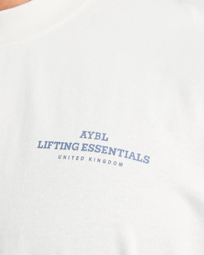 Apex Lifting Essential oversized T-shirt