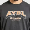 AYBL Elite Iron oversized T-shirt