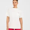 AYBL Lift Lodge oversized T-shirt