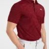 Klassieke gestreepte polo