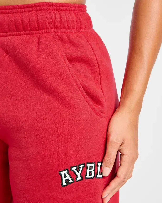 Varsity 2.0 oversized Joggingbroek met rechte pijpen